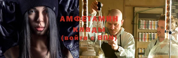 ГАЛЛЮЦИНОГЕННЫЕ ГРИБЫ Каменка
