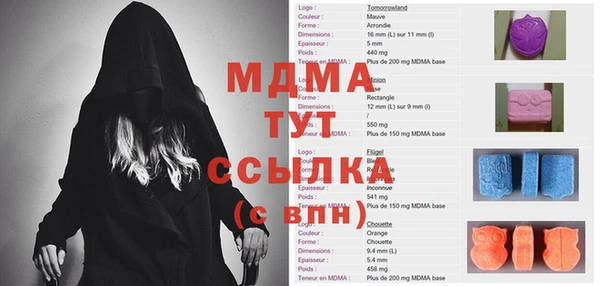 ГАЛЛЮЦИНОГЕННЫЕ ГРИБЫ Каменка