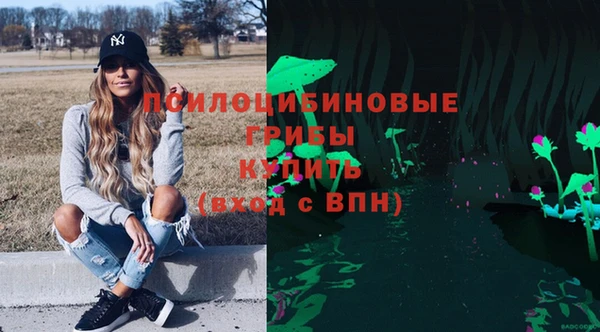 ПСИЛОЦИБИНОВЫЕ ГРИБЫ Каменск-Шахтинский