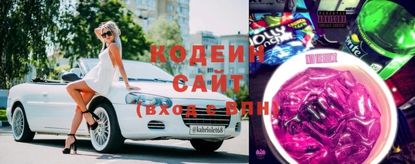 ГАЛЛЮЦИНОГЕННЫЕ ГРИБЫ Каменка