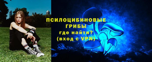 ГАЛЛЮЦИНОГЕННЫЕ ГРИБЫ Каменка