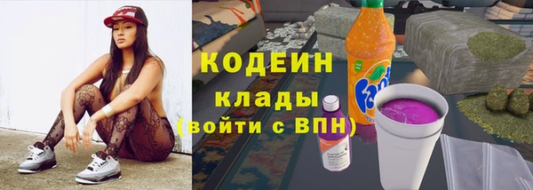 ГАЛЛЮЦИНОГЕННЫЕ ГРИБЫ Каменка