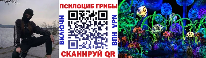 Псилоцибиновые грибы Cubensis  Купить  Завитинск 